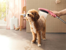 Hansgrohe DogShower Hansgrohe DogShower