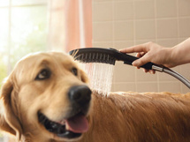Hansgrohe DogShower Hansgrohe DogShower